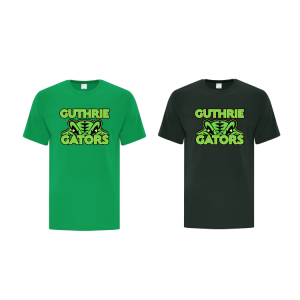 100% Cotton T-Shirt (Adult)